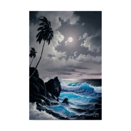 Anthony Casay 'Waves Under The Moon 5' Canvas Art,16x24